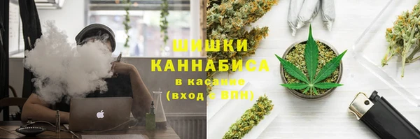 трава Медногорск