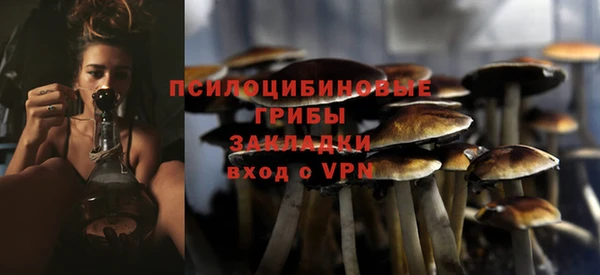 не бодяженный Россошь